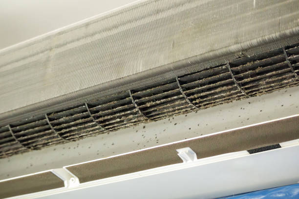 Best Air Duct Cleaning Near Me  in Derma, MS